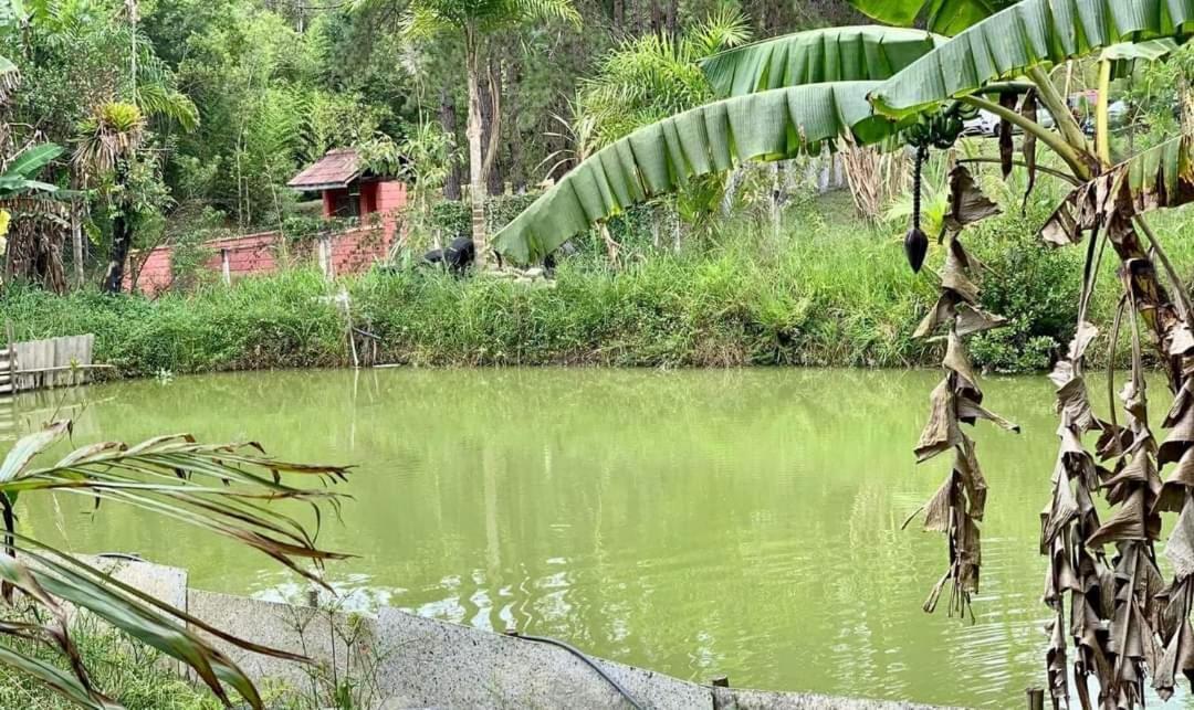 Chacara Recanto Dos Passaros Bairro das Rosas Buitenkant foto